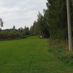 Kohtla-Nõmme Park - Kohtla-Järve