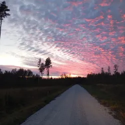 Kohtla-Nõmme Park - Kohtla-Järve