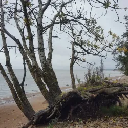 Sillamäe Beach - Kohtla-Järve