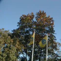 Kunda Limestone Quarry - Kunda