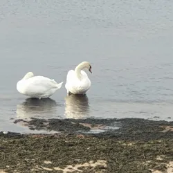 Kunda River Promenade - Kunda