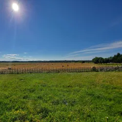 Angla Windmill Hill - Kuressaare