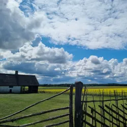 Angla Windmill Hill - Kuressaare