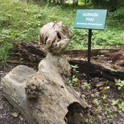 Kaali Meteorite Crater - Kuressaare