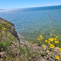 Panga Cliff - Kuressaare