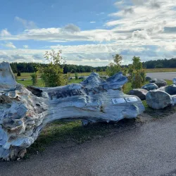 Panga Cliff - Kuressaare