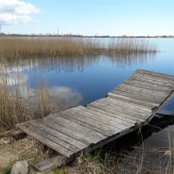Lake Maardu - Maardu