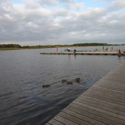 Lake Maardu - Maardu