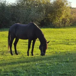 Maardu Fishing Harbor - Maardu