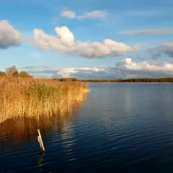 Maardu Fishing Harbor - Maardu
