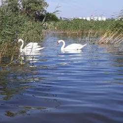 Maardu Fishing Harbor - Maardu