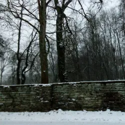 Maardu Manor - Maardu