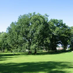 Maardu Manor - Maardu