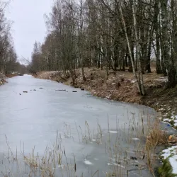 Maardu Park - Maardu