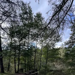 Maardu Park - Maardu