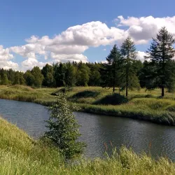 Maardu Park - Maardu