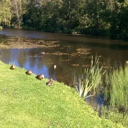 Maardu Park - Maardu