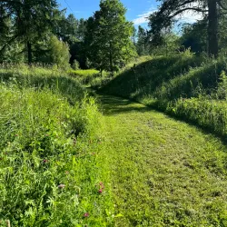 Maardu Park - Maardu