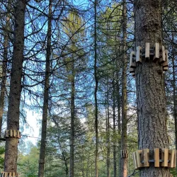 Maardu Park - Maardu