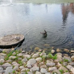 Maardu Sports Complex - Maardu