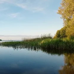 Lake Peipus Shoreline - Mustvee