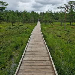 Mustvee Nature Trails - Mustvee