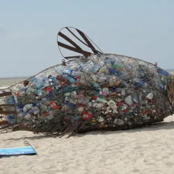 Pärnu Beach - Parnu