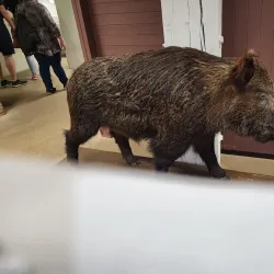 Pärnu Museum - Parnu