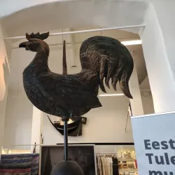 Pärnu Museum - Parnu