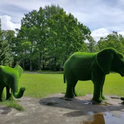 Pärnu Rannapark - Parnu