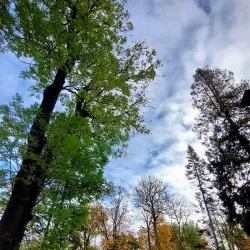 Saku Community Park - Saku