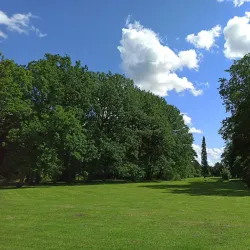 Saku Community Park - Saku