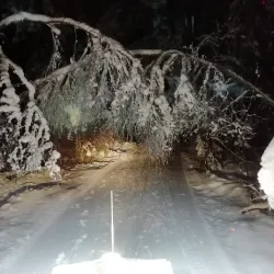 Saku Nature Trail - Saku