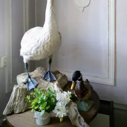 Saue Nature Reserve - Saue