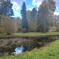 Saue Nature Reserve - Saue