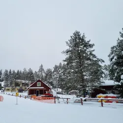 Saue Ski Center - Saue