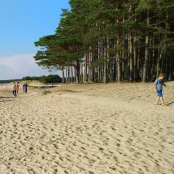 Vääna-Jõesuu Beach - Saue