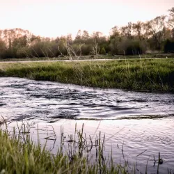 Pärnu River - Sindi