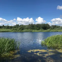 Pärnu River - Sindi