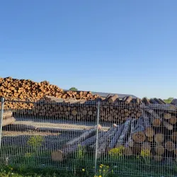 Tapa Central Park - Tapa