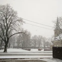 Tapa Central Park - Tapa