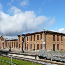 Tapa Central Park - Tapa