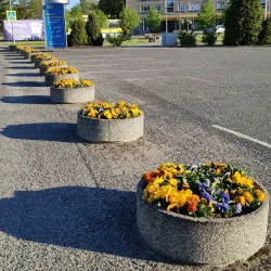 Tapa Central Park - Tapa