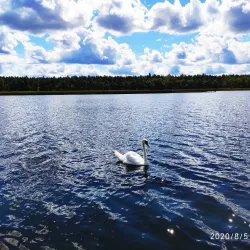 Tapa Central Park - Tapa