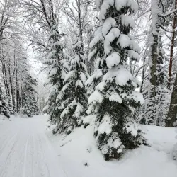 Tapa Nature Trails - Tapa