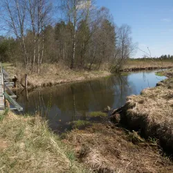 Tapa Nature Trails - Tapa