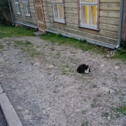 Supilinn District - Tartu