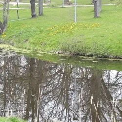 Valga City Park - Valga