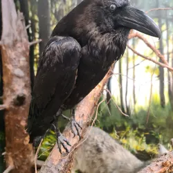 Valga Museum - Valga