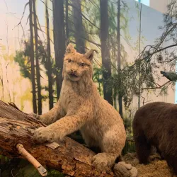 Valga Museum - Valga